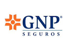 GNP